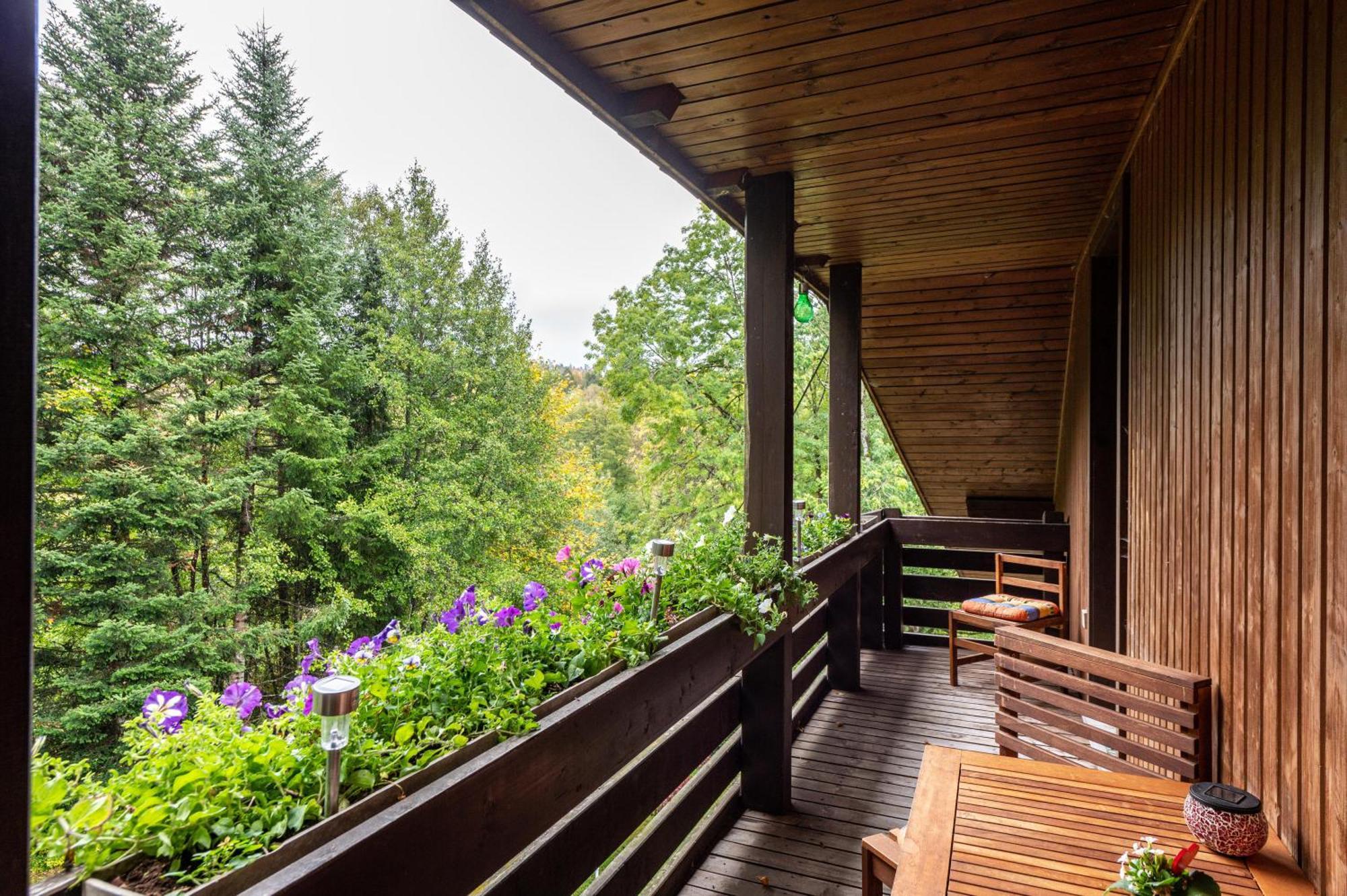 Landhaus Am Schmiedebach Wittenschwand Экстерьер фото
